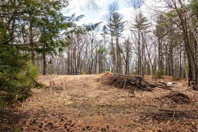 8.5 Richardson Dr, Derry, NH 03038 - photo 5