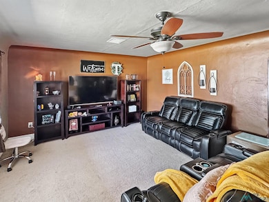 1010 N Howard St, Carlsbad, NM 88220 - photo 5
