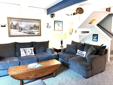 13 Stratton Rd W unit 13, Winhall, VT 05340 - photo 7