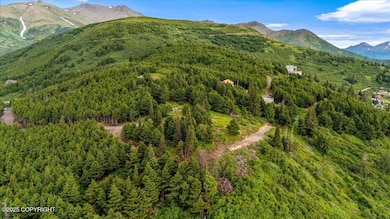 L3 Paine Cir, Anchorage, AK 99516 - photo 5