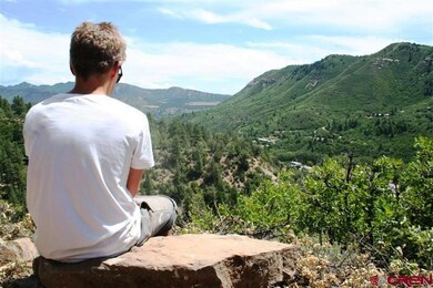 0 Twin Buttes Ave unit 31 Avenue 725785, Durango, CO 81301 - photo 5