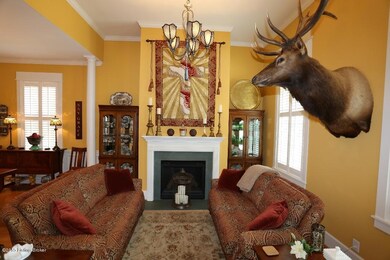 fireplace living1