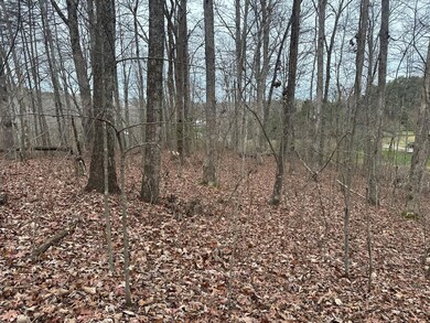 120.62 Browns Hollow Rd, Tracy City, TN 37387 - photo 5