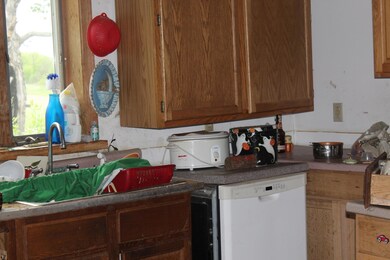 IMG_6710 - Copy