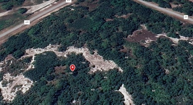 1181 Ebbtide Ave, Lake Placid, FL 33852 - photo 2