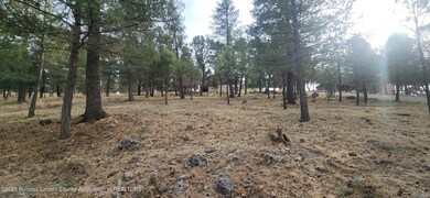 unlisted-address, Ruidoso, NM 88345 - photo 2