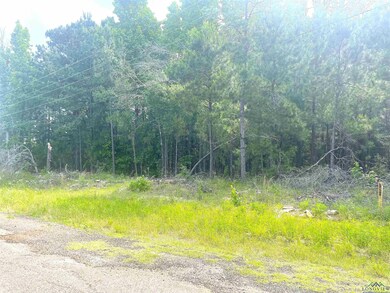 View of woods