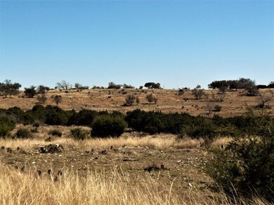 1651 Sugar Creek Trail unit 15, Fredericksburg, TX 78624 - photo 5