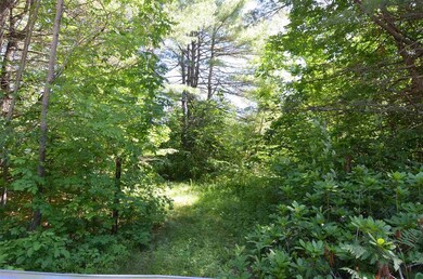 129 Newbury Rd, Bradford, NH 03221 - photo 5