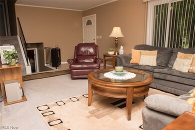 8780 Usher Rd, Olmsted Falls, OH 44138 - photo 4