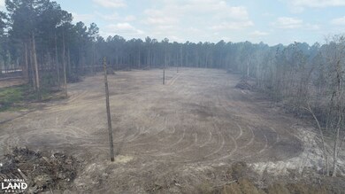 3009 Horse Stamp Church Rd, Waverly, GA 31565 - photo 7