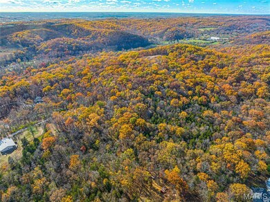 19005 Old Wild Turkey Ln, Wildwood, MO 63069 - photo 6