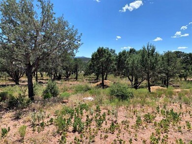 1102 N Earhart Pkwy, Payson, AZ 85541 - photo 3