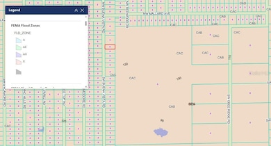 TBD SW Buena Vista Rd, Dunnellon, FL 34431 - photo 2
