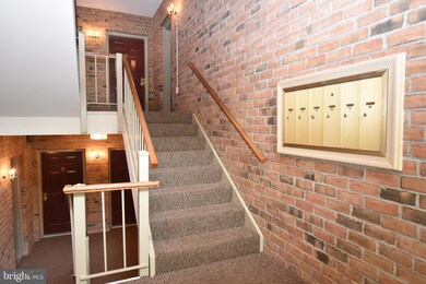 17 Rainflower Path unit 203, Sparks Glencoe, MD 21152 - photo 3