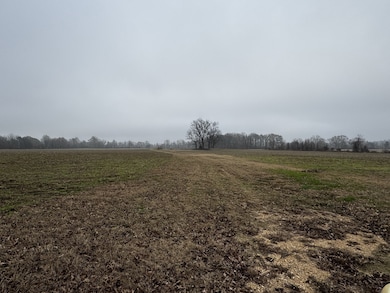 0 Lightfoot Luckett Rd, Ripley, TN 38063 - photo 3