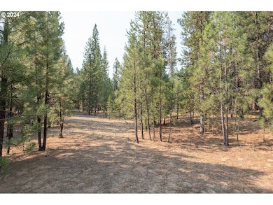 14215 Stillwater Ln, La Pine, OR 97739 - photo 4