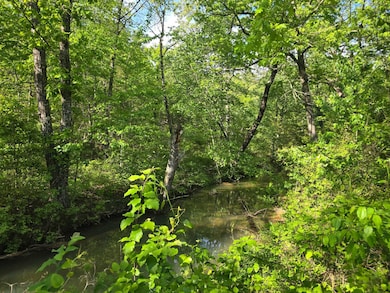 TR 21&22 Pine Tree Trail, Albion, OK 74571 - photo 6