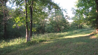 IMG_0018