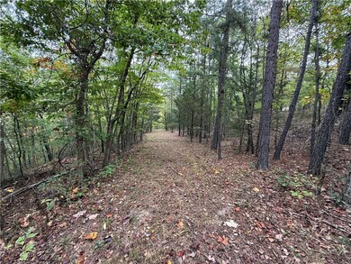 0 S Rhodes Cr 1022 Dr, Eureka Springs, AR 72632 - photo 5