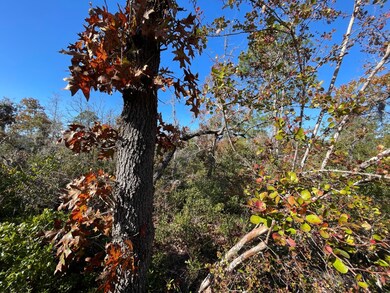 TBD Lot #19 Sea Oaks Dr unit 19, Perry, FL 32348 - photo 7