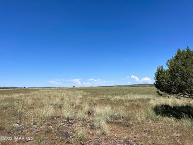 S2 90 Lowe Ranch Rd, Ash Fork, AZ 86320 - photo 5