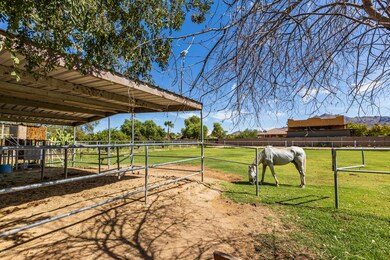 Stalls & Pasture