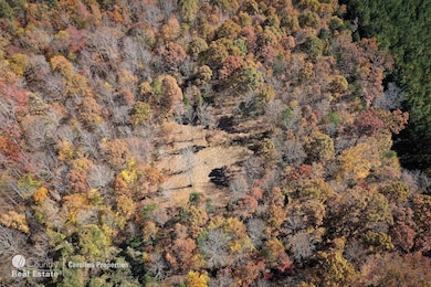 00 Mountain Rd, Cleveland, NC 27013 - photo 6