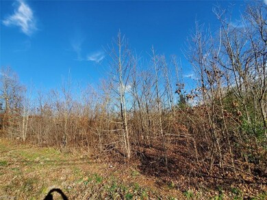 0000 Mack Rd, Asheboro, NC 27205 - photo 3