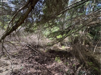 0 Wildberry Rd, Coosbay, OR 97420 - photo 5