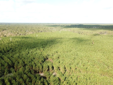 Gore Store Rd, Kountze, TX 77625 - photo 2