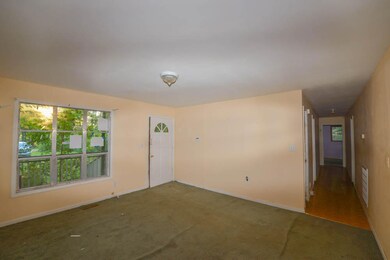 Interior (1 of 1)-3