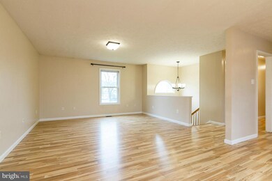 339 W Tevis St, Winchester, VA 22601 - photo 5