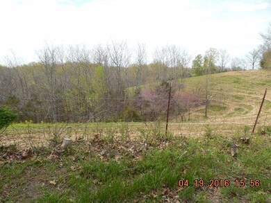 2 Mudlick Rd, Lawrenceburg, KY 40342 - photo 3