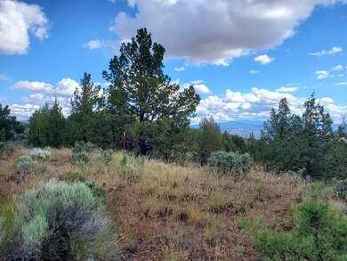 0 SE Dead End Street Tl5674 St unit 220149584, Prineville, OR 97754 - photo 7