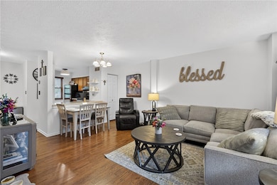 Open living room to dining room and kitchen