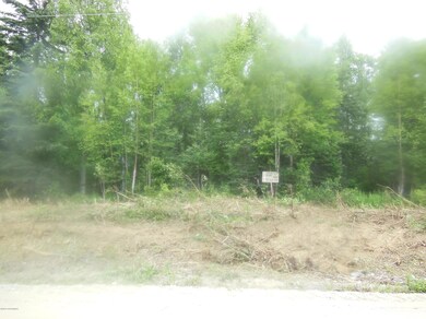 401 -lot on Bunting 007
