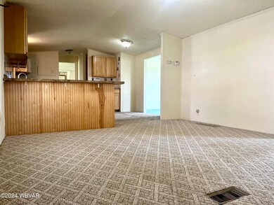 17 Spruce St, Lock Haven, PA 17745 - photo 7