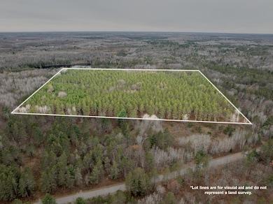 CA-875-5 Sheep Ranch Rd, Rhinelander, WI 54501 - photo 3