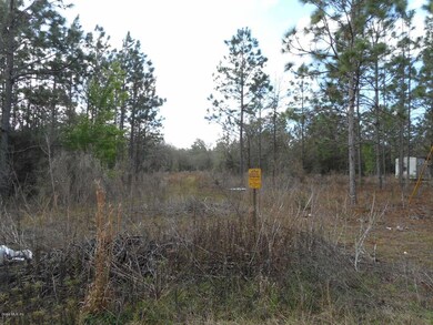 315 Acres SE 216 Ave, Morriston, FL 32668 - photo 3
