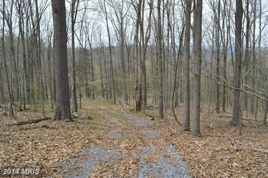 0 Funk Rd unit 1002952670, Strasburg, VA 22657 - photo 2