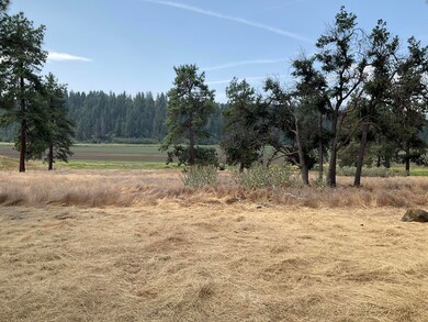 Gold Course Views