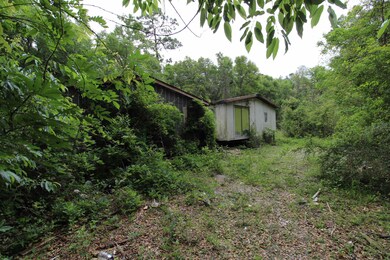 189 Forest Ln, Crawfordville, FL 32327 - photo 4