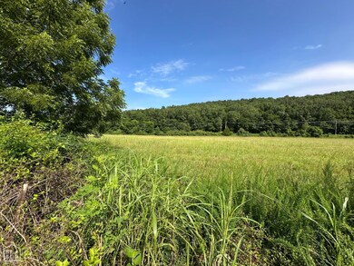 1 Denton Ferry Rd, Flippin, AR 72626 - photo 7