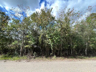 0 Bellini Rd, Manvel, TX 77578 - photo 3