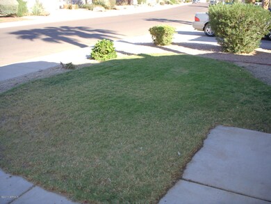Front Yard