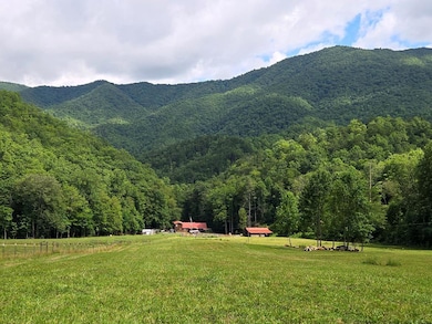 21804 U S 19, Andrews, NC 28901 - photo 2