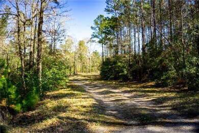 Tract #2 Deerpond Rd, Other, TX 75904 - photo 6