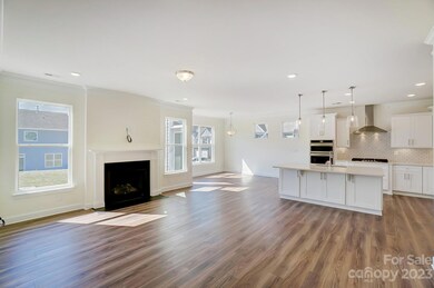 119 Farrier Ln unit Lot 59, Statesville, NC 28677 - photo 5