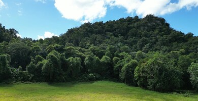 0 Carretera Pr-628 Km 5 2, Sabana Hoyos, PR 00688 - photo 5